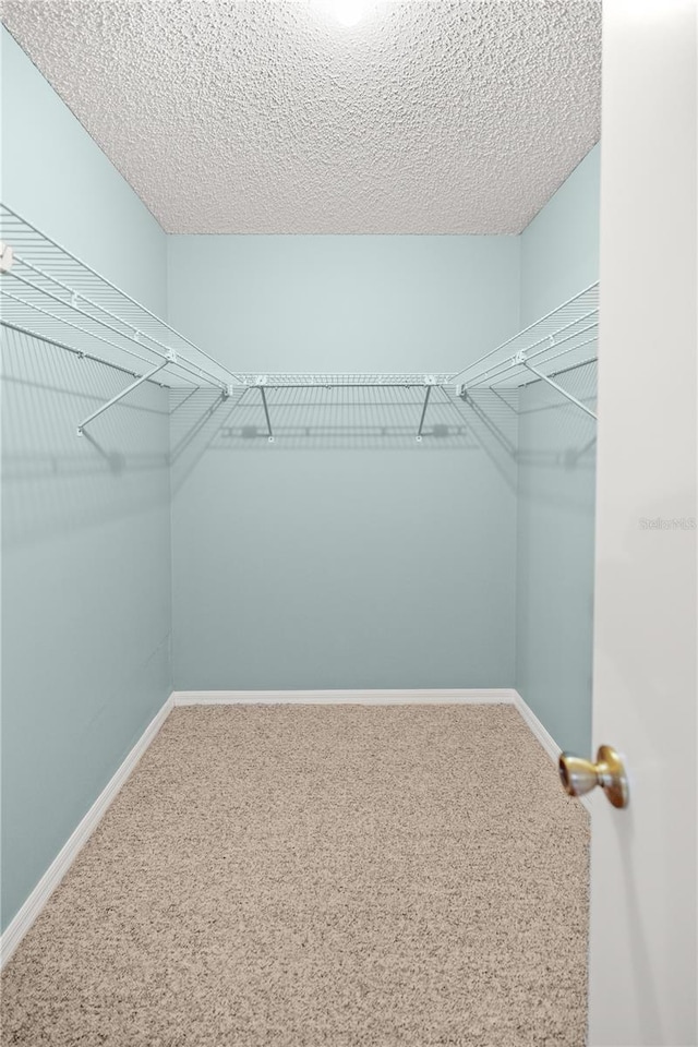 spacious closet featuring carpet floors