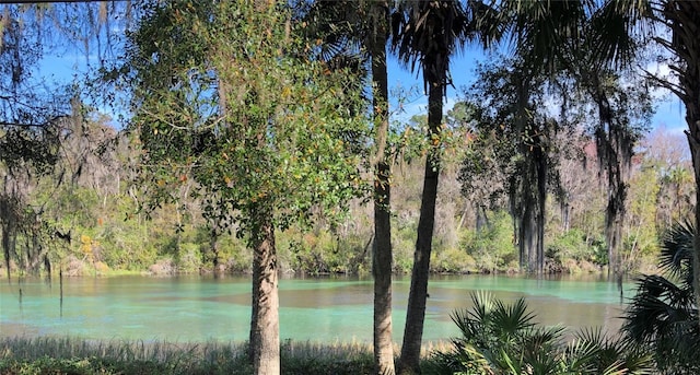 Listing photo 3 for 00 SW Neptune Blvd, Dunnellon FL 34431