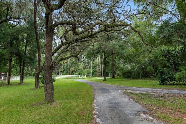 view of community with a yard