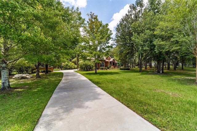 view of community with a lawn