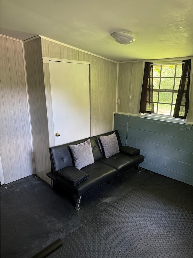 unfurnished room featuring carpet flooring and wooden walls