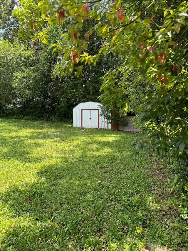 view of yard featuring a storage shed