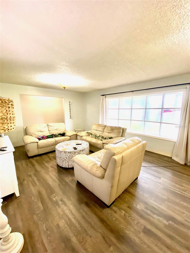 living room with a wealth of natural light, a textured ceiling, and hardwood / wood-style flooring