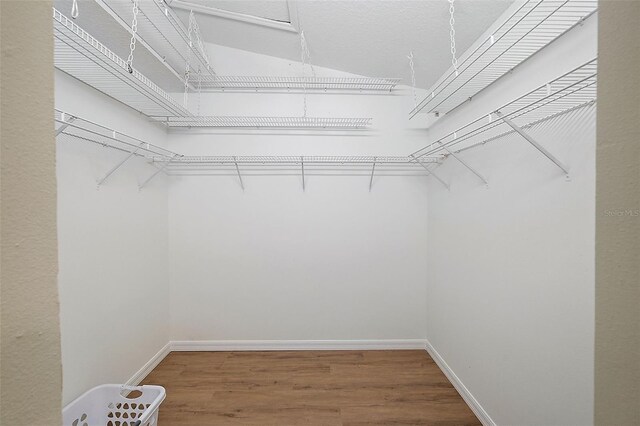 walk in closet featuring wood finished floors