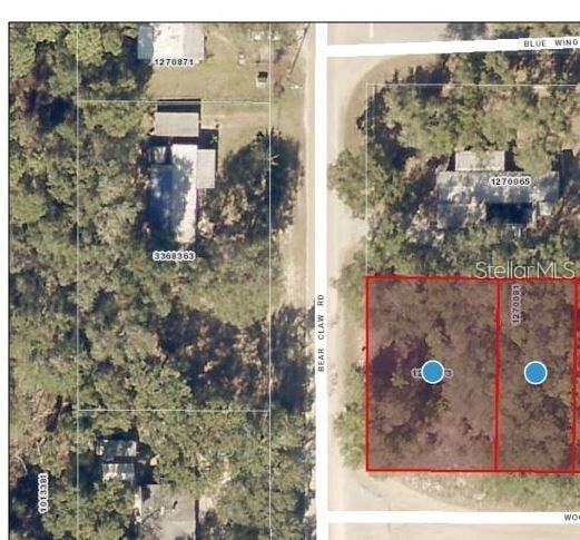 TBD Wood Duck Rd, Altoona FL, 32702 land for sale