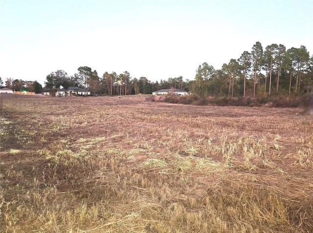 Maricamp Rd, Ocala, FL 34472 - photo 5