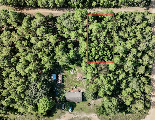 205 Shangri-La St, Interlachen FL, 32148 land for sale