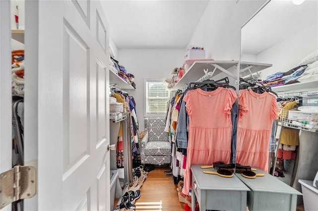 spacious closet with wood finished floors