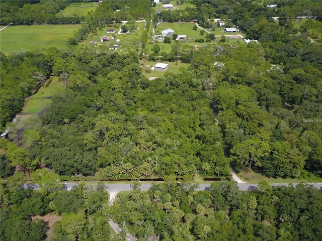 2421 Guava Dr, Port Orange FL, 32128 land for sale