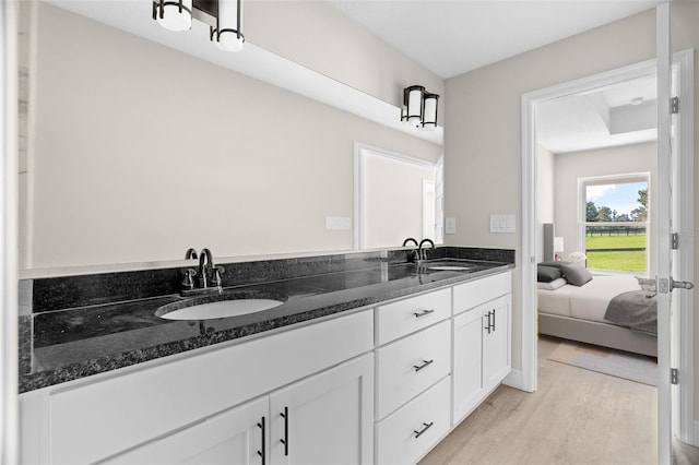 bathroom with hardwood / wood-style flooring and vanity