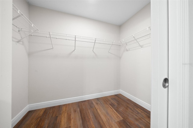 walk in closet featuring dark hardwood / wood-style floors