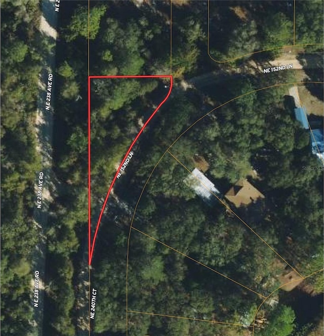 TBD NE 240th Ct, Salt Springs FL, 32134 land for sale