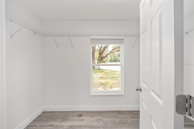 spacious closet featuring light hardwood / wood-style floors