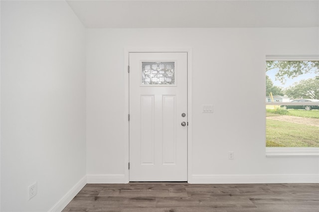 foyer with a healthy amount of sunlight and wood-type flooring