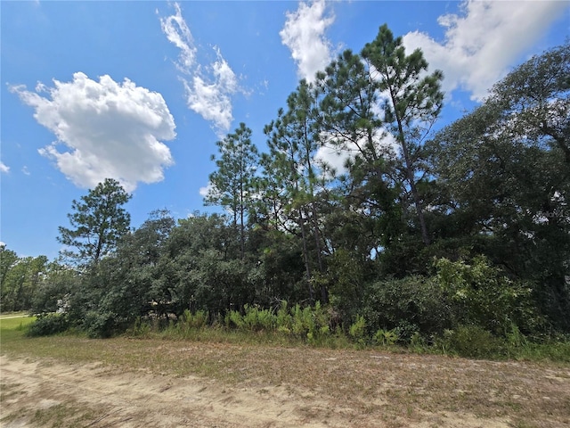 Listing photo 2 for TBD SW 122nd Ave Lot 10, Dunnellon FL 34432