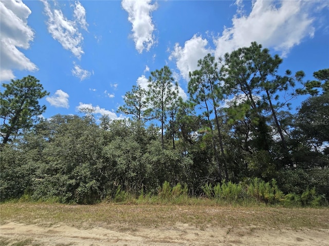 Listing photo 3 for TBD SW 122nd Ave Lot 10, Dunnellon FL 34432