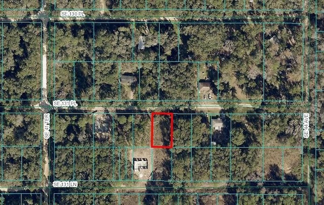 Listing photo 3 for TBD SE 131st Pl, Belleview FL 34420