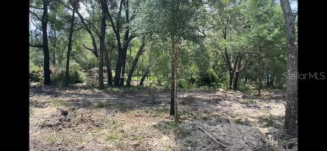 Listing photo 2 for LOT5 SE 82nd St, Morriston FL 32668