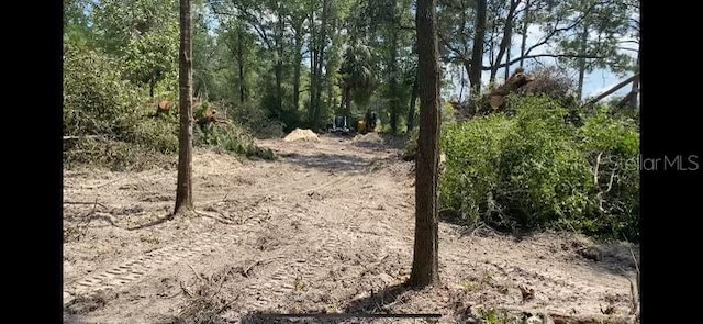 Listing photo 3 for LOT5 SE 82nd St, Morriston FL 32668