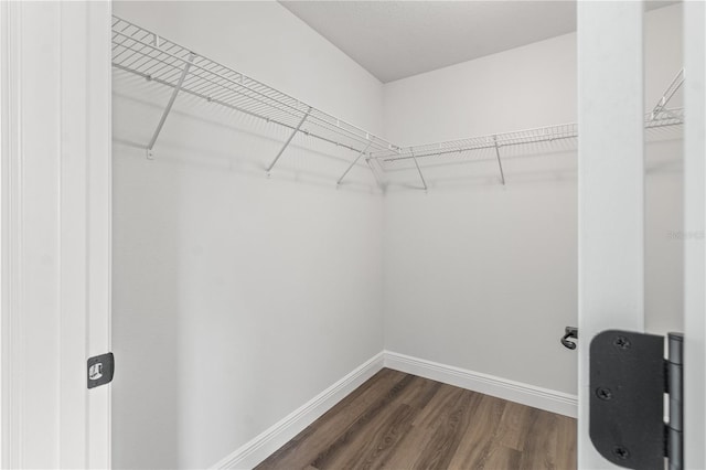 spacious closet with dark wood finished floors