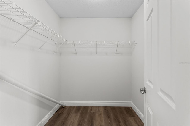 spacious closet with dark wood-style floors