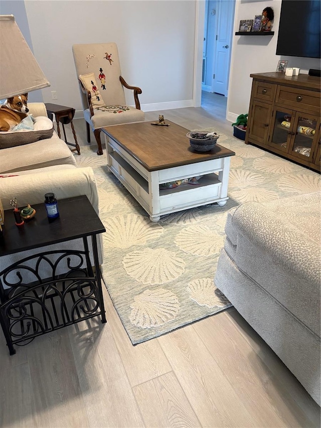 living room with light wood-type flooring