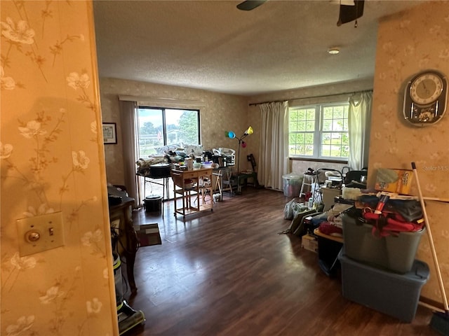 miscellaneous room featuring a textured ceiling, ceiling fan, and dark hardwood / wood-style floors