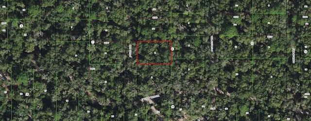 4029 S Gull Ter, Inverness FL, 34450 land for sale