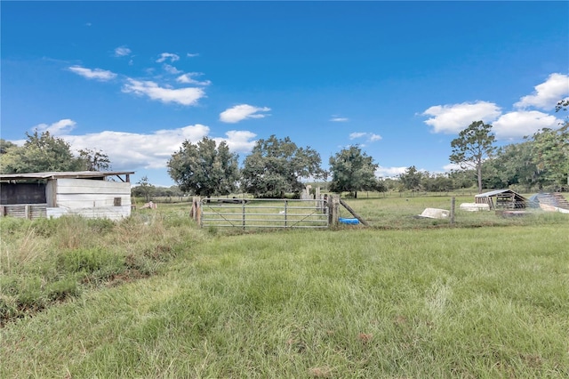 view of yard with a rural view