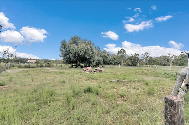 view of yard with fence and a rural view