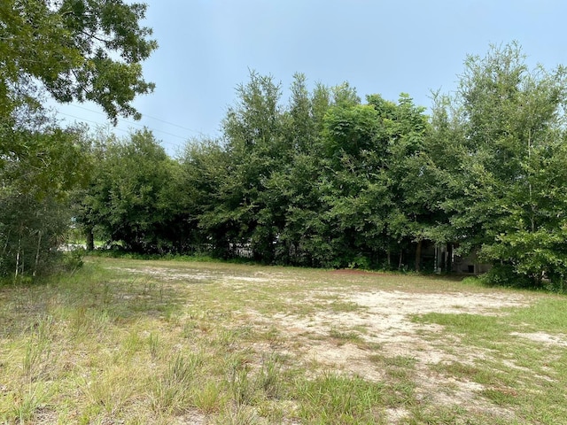 Listing photo 3 for TBD SE 90th Ct, Summerfield FL 34491