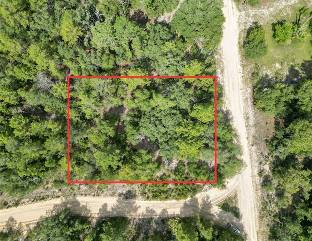 125 Rich St, Interlachen FL, 32148 land for sale