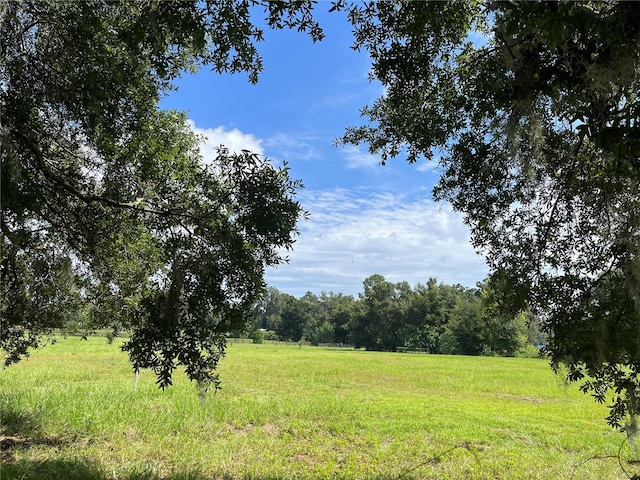 SE 150th St, Summerfield FL, 34491 land for sale