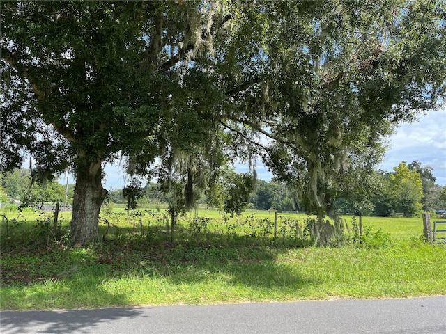 Listing photo 3 for SE 150th St, Summerfield FL 34491