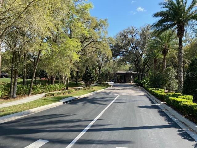 view of street with curbs