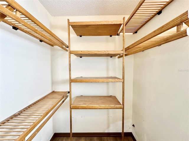 spacious closet with wood-type flooring