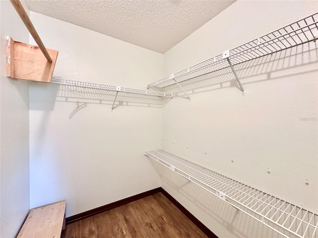 walk in closet featuring hardwood / wood-style floors