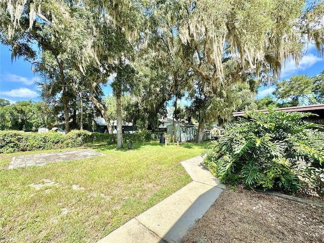 view of yard with a storage unit