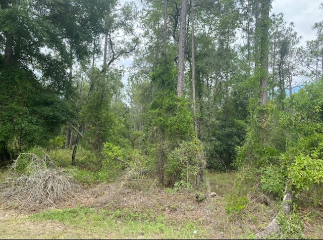 LOT5 NW Falcon Ave, Dunnellon FL, 34431 land for sale