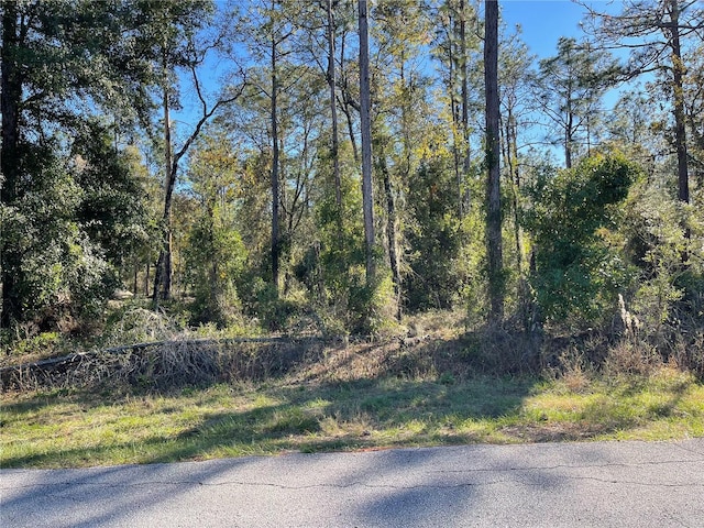 Listing photo 2 for LOT5 NW Falcon Ave, Dunnellon FL 34431