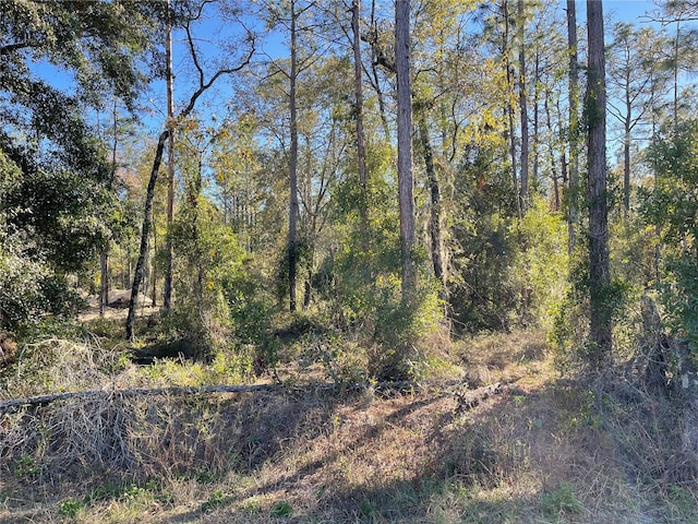 Listing photo 3 for LOT5 NW Falcon Ave, Dunnellon FL 34431