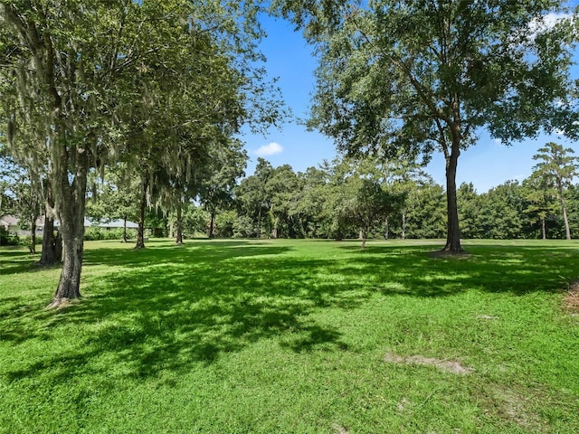 view of home's community featuring a yard