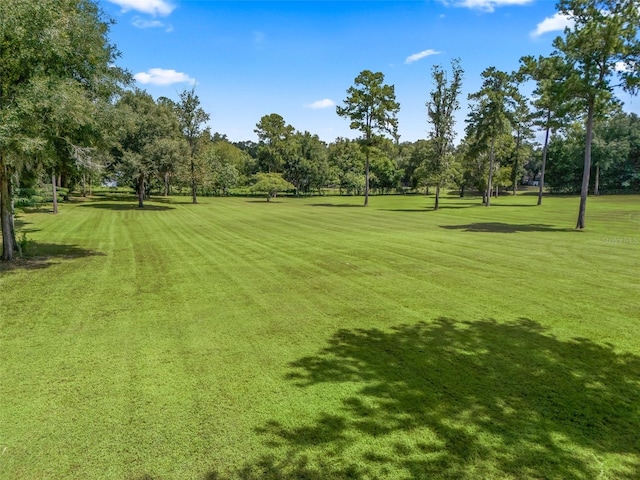 view of home's community featuring a lawn