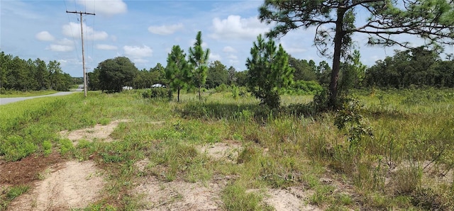 Listing photo 2 for SW Persimmon Ln, Dunnellon FL 34431