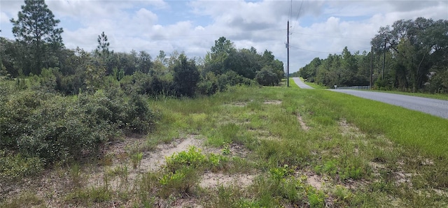 Listing photo 3 for SW Persimmon Ln, Dunnellon FL 34431