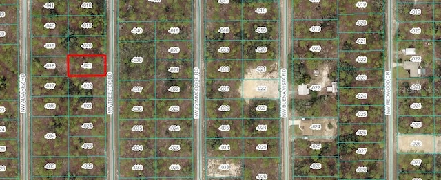 0000 NW Treetop Rd # 021, Dunnellon FL, 34431 land for sale