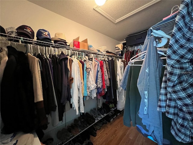 spacious closet with hardwood / wood-style floors