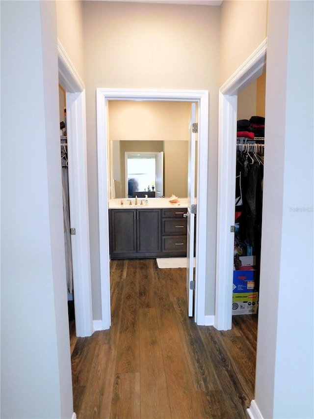 hallway featuring sink and dark wood-type flooring