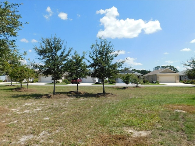 view of yard featuring a garage