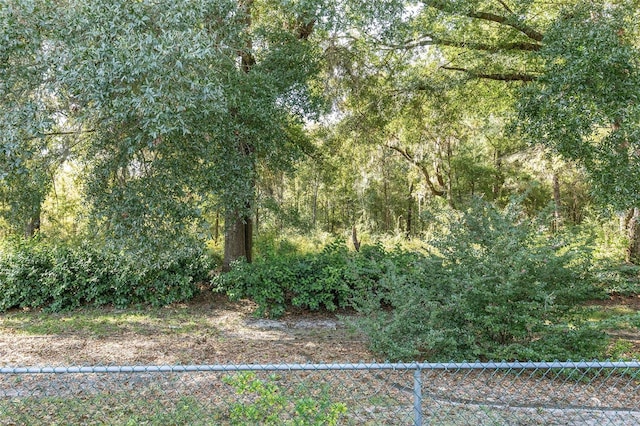 11696 SW 71st Cir, Ocala, FL 34476 - view of undeveloped land